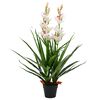 vidaXL K&uuml;nstliche Cymbidium Orchideenpflanze mit Topf 100 cm Gr&uuml;n