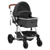 vidaXL 2-in-1-Kinderwagen Dunkelgrau Aluminium