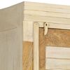 vidaXL Kleiderschrank Massivholz Mango 60x50x200 cm