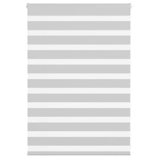 vidaXL Doppelrollo Hellgrau 95x100 cm Stoffbreite 90,9 cm Polyester