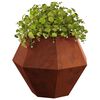 Produkt-Miniaturbild 3 von 13
