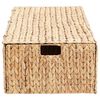 vidaXL Aufbewahrungsbox Natur 75 x 42 x 23 cm Wasserhyazinthe