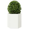 Produkt-Miniaturbild 3 von 10