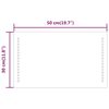 vidaXL LED-Badspiegel 30x50 cm