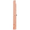 vidaXL T&uuml;ren f&uuml;r Outdoor-K&uuml;che 2 Stk. 50x9x82 cm Massivholz Douglasie