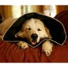 All Four Paws Haustier-Halskragen Comfy Cone XL 30cm Schwarz
