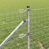 Produkt-Miniaturbild 4 von 11