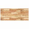 vidaXL Schreibtischplatte &Ouml;lbeschichtung 120x60x4 cm Massivholz Akazie