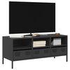 vidaXL TV-Schrank Schwarz 101,5x39x43,5 cm Kaltgewalzter Stahl