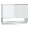 High_gloss_white