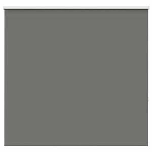 vidaXL Verdunkelungsrollo Grau 150x175cm Stoffbreite 146,6cm Polyester