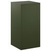 Olive_green