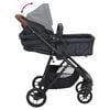 vidaXL 2-in-1 Kinderwagen Anthrazit und Schwarz Stahl