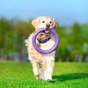 Ferplast Hunde-Spielring Puller Standard Lila 2 Stk.