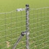 Produkt-Miniaturbild 4 von 15