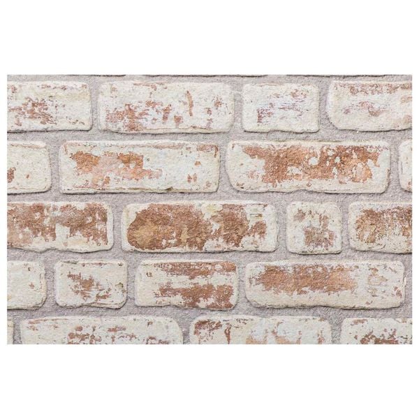 vidaXL Wandpaneele 10 pcs Rot und Wei&szlig; 100 x 50 cm EPS-Schaum