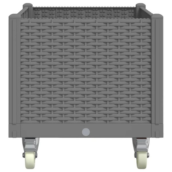 vidaXL Pflanzkasten mit Rollen Hellgrau 80x50x54 cm PP