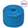 vidaXL Arbeitsseil Blau 20 mm 25 m Polypropylen