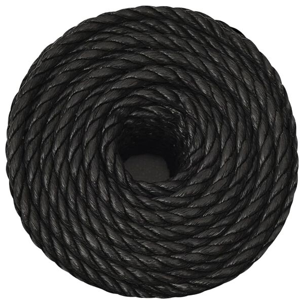 vidaXL Arbeitsseil Schwarz 14 mm 100 m Polypropylen
