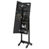 vidaXL Standspiegel mit LED Schwarz 34x37x146 cm