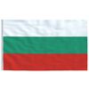 vidaXL Flagge Bulgariens mit Mast 6,23 m Aluminium