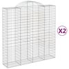 vidaXL Gabionen mit Hochbogen 2 Stk. 200x50x200/220cm Verzinktes Eisen