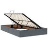 vidaXL Bett mit Stauraum und LED mit LED Dunkelgrau 120 x 200 cm Samt