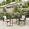 vidaXL 3-tlg. Garten-Essgruppe mit Kissen Schwarz Poly Rattan