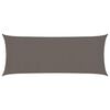 vidaXL Sonnensegel 160 g/m&sup2; Anthrazit 2x4,5 m HDPE