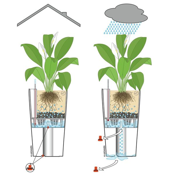 LECHUZA Pflanzgef&auml;&szlig; CILINDRO Cottage 23 ALL-IN-ONE &Oslash;23cm Granitschwarz