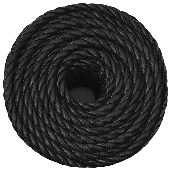 vidaXL Arbeitsseil Schwarz 14 mm 250 m Polypropylen