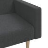 vidaXL Schlafsofa 2-Sitzer Dunkelgrau Stoff