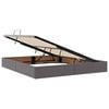 vidaXL Bett mit Stauraum und LED mit LED Grau 160 x 200 cm Kunstleder