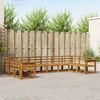 vidaXL Outdoor-Sofagarnitur 10 pcs Natur Massivholz Akazie
