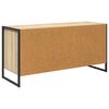vidaXL TV-Schr&auml;nk Sonoma 100 x 36 x 49.5 cm Holzwerkstoff