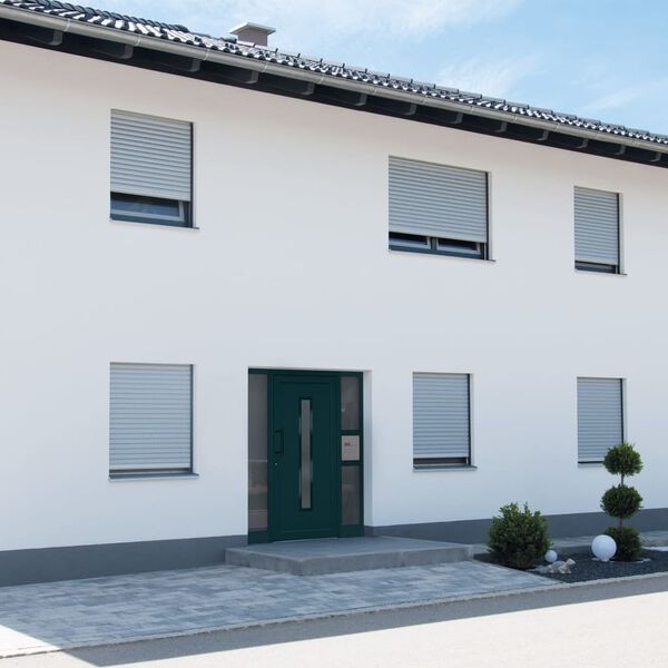 vidaXL Haust&uuml;r Anthrazit 98x200 cm PVC