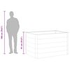 vidaXL Garten-Hochbeet WPC 150x100x91 cm Grau