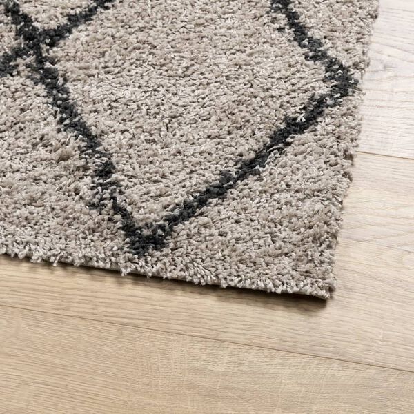 vidaXL Teppich Shaggy Hochflor Modern Beige und Anthrazit 120x170 cm