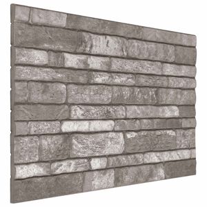 vidaXL Wandpaneele 10 stk. 100 x 50 cm Dunkelgrau EPS-Schaum