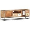 vidaXL TV-Schrank 120x30x40 cm Altholz Massiv
