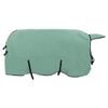vidaXL Pferdedecke Sondergr&uuml;n 155 cm Polyester-Fleece