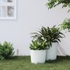 Produkt-Miniaturbild 2 von 7