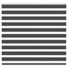 vidaXL Doppelrollo Schwarz 155x100 cm Stoffbreite 150,9 cm Polyester