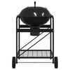 vidaXL Outdoor Grill Mit Rad Schwarz 96 x 72 x 113 cm Metall