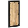 vidaXL Garderobe 40x2x80 cm Raues Massivholz Mango