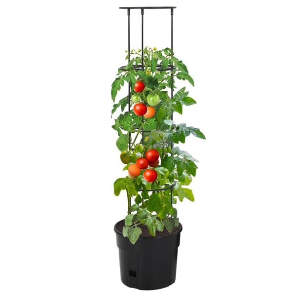 Produktbild 2 von 6 anzeigen