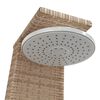 vidaXL Gartendusche Beige 55x60x224 cm Poly Rattan und Akazienholz