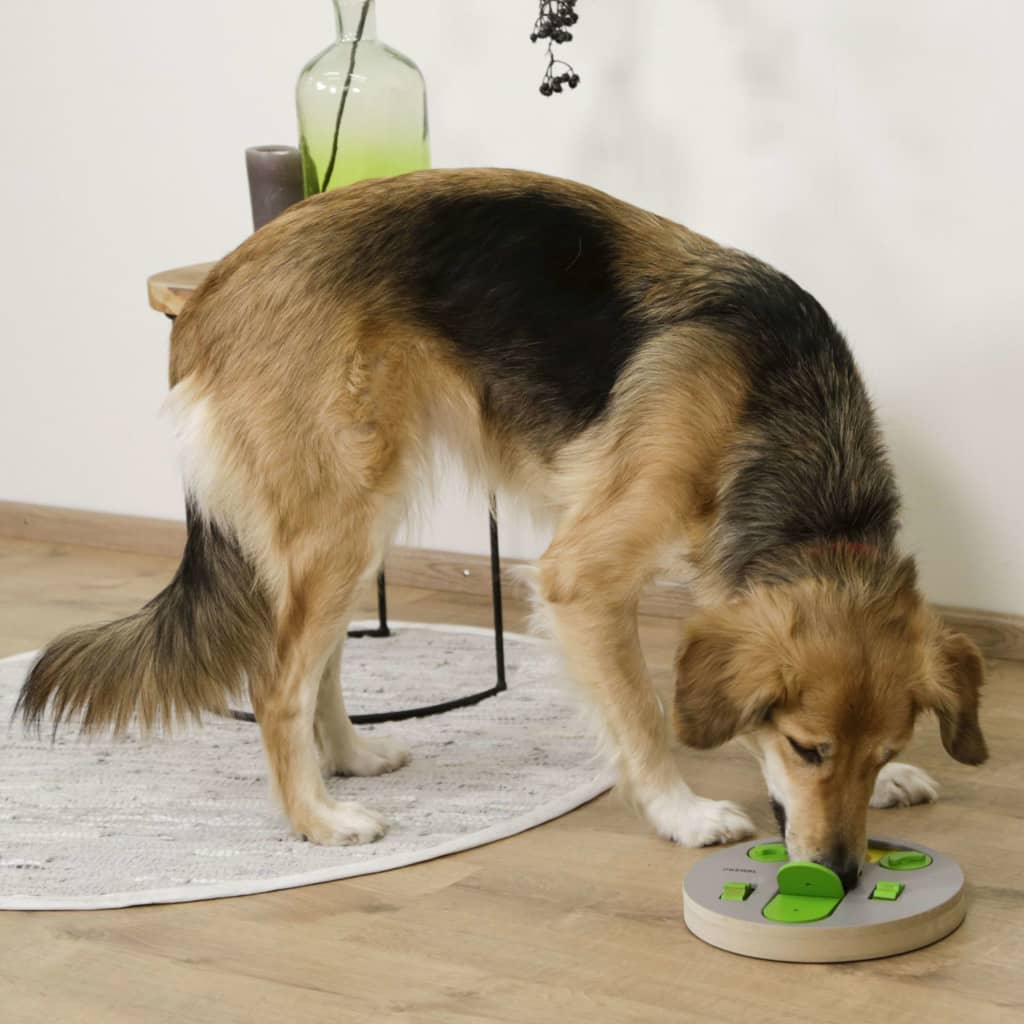 Kerbl Denk- und Lernspielzeug für Hunde Face 23×4 cm