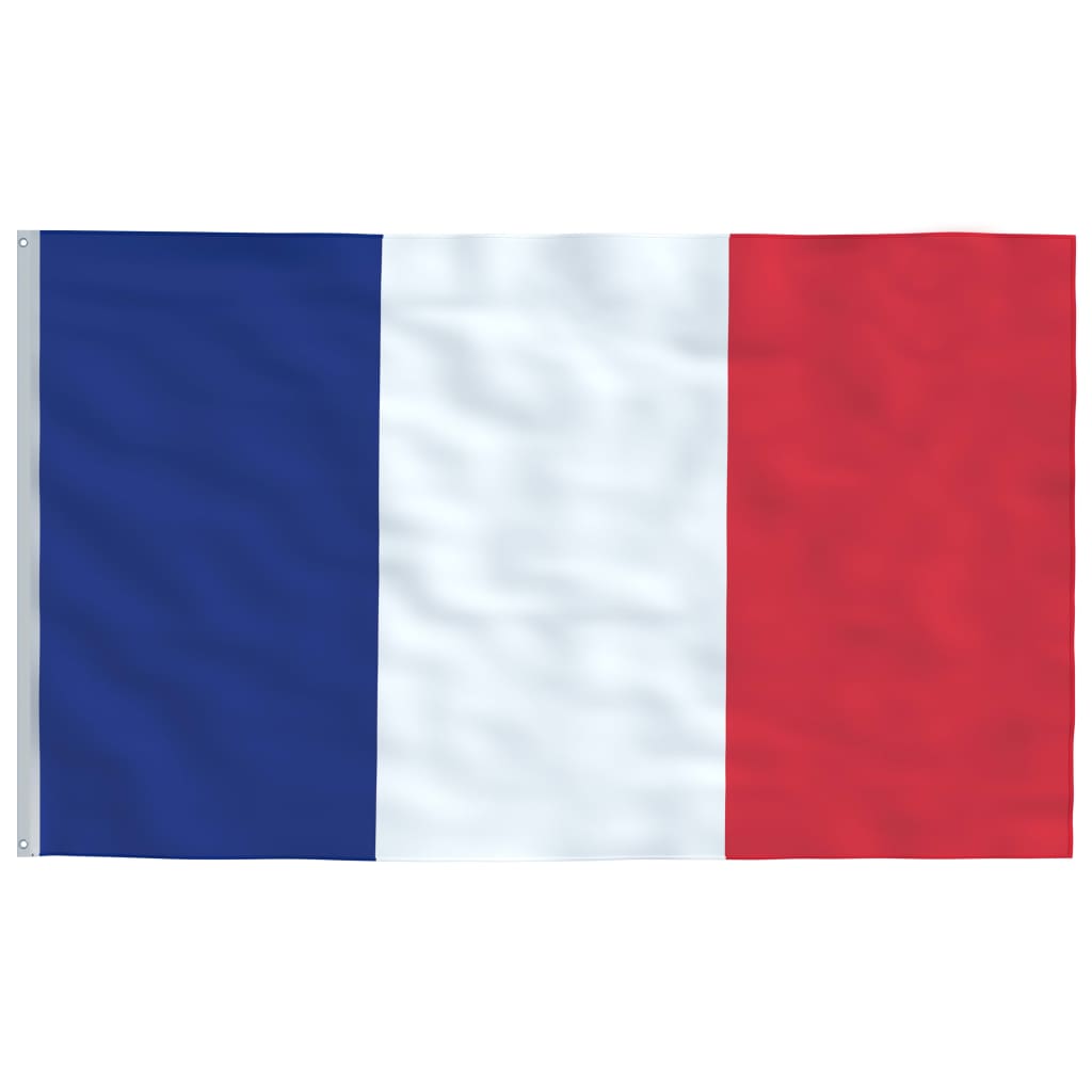 vidaXL Flagge Frankreichs und Mast Aluminium 4 m