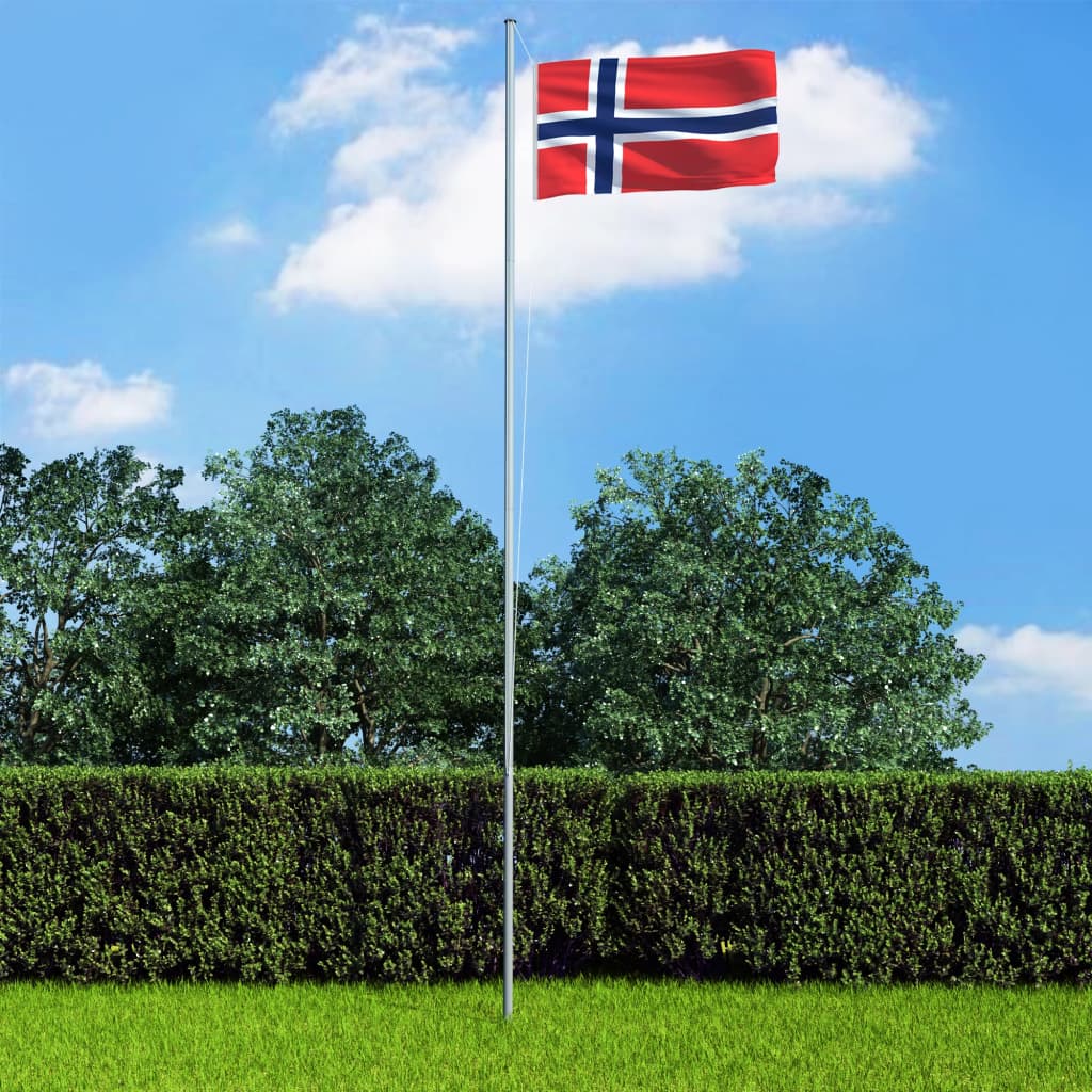vidaXL Flagge Norwegens und Mast Aluminium 6,2 m